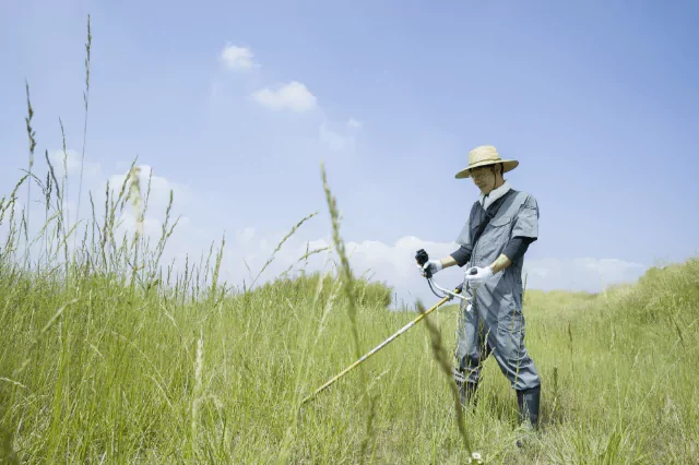 農薬を最低限に抑制